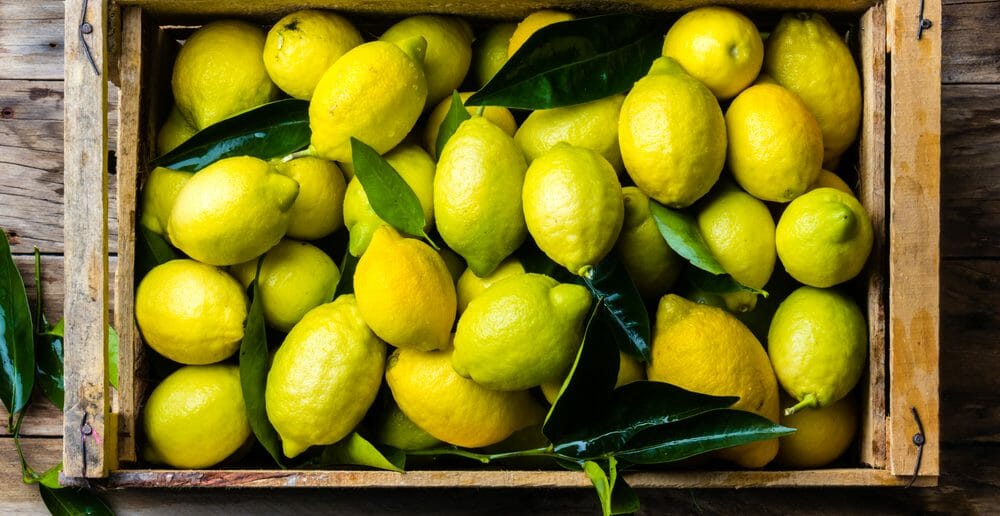 comment-eliminer-la-cellulite-avec-le-citron