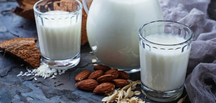 Comment faire un régime hyperprotéiné sans lactose ?