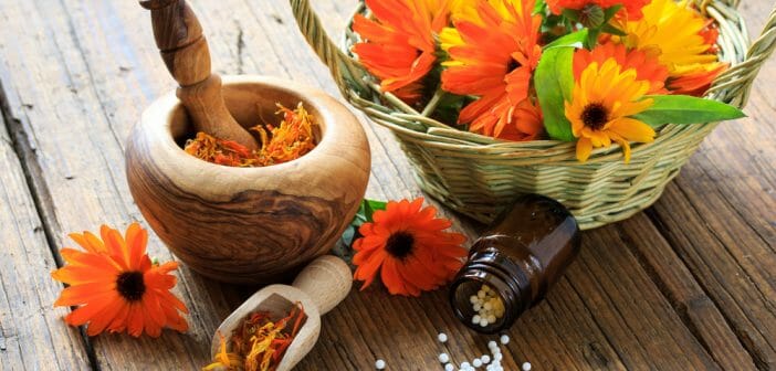 L'homéopathie pour lutter contre le stress