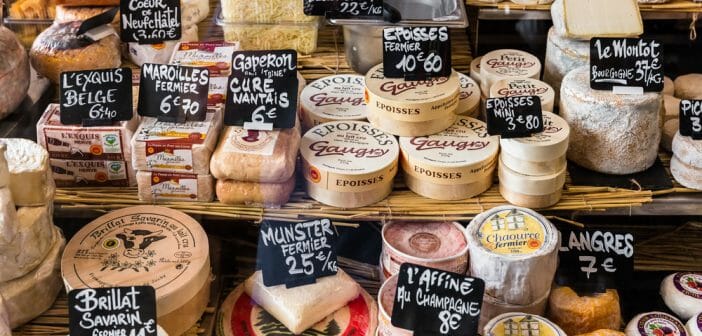 quels-fromages-privilegier-dans-un-programme-de-musculation