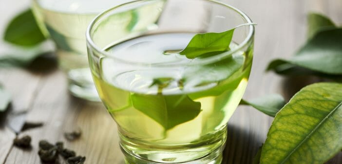 brule-graisse-the-vert-et-guarana-efficace
