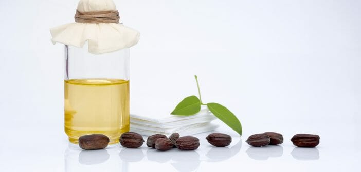 l-huile-de-jojoba-contre-la-cellulite