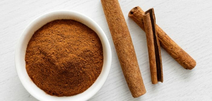 la-cannelle-ideal-comme-brule-graisses