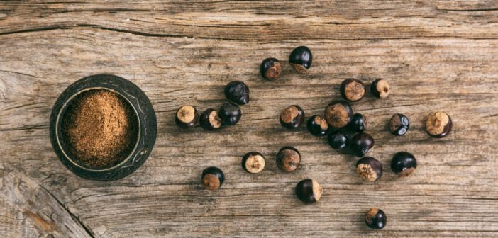 le-guarana-efficace-contre-la-cellulite