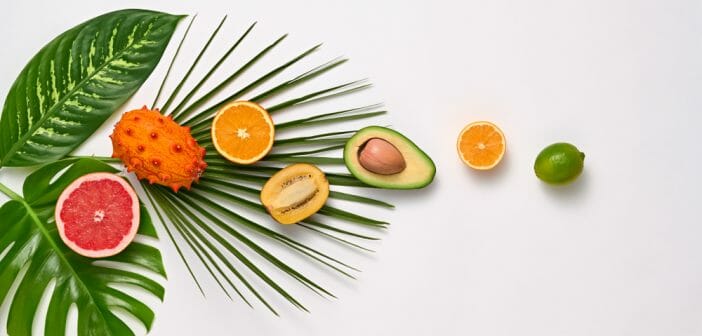 le-regime-fruits-et-proteines-pour-maigrir