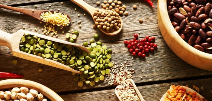 les-graines- efficace-contre-la-cellulite