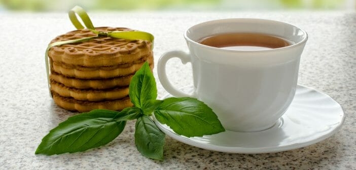 infusion-basilic-perdre-poids