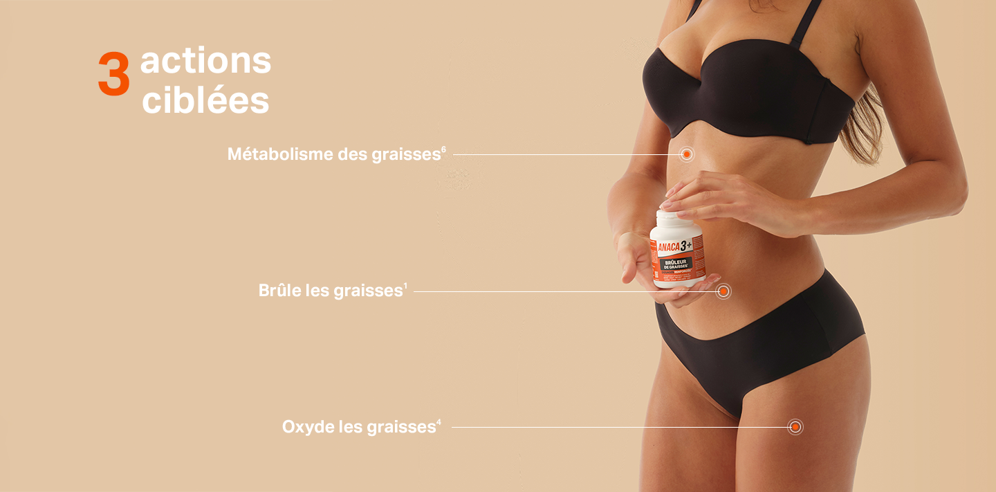 Les actions Brûleur de graisses (Anaca3+)