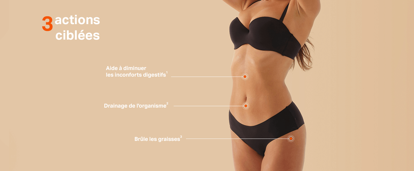 Les actions Shot Ventre plat