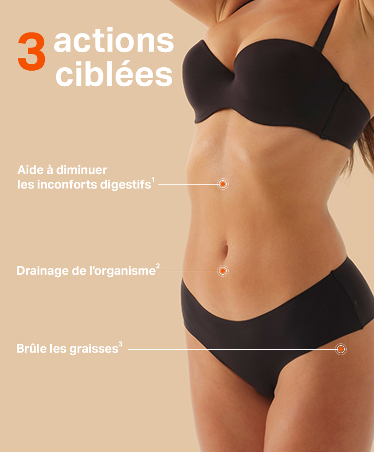Les actions Shot Ventre plat