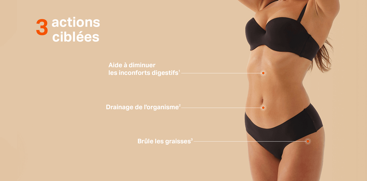 Les actions Shot Ventre plat